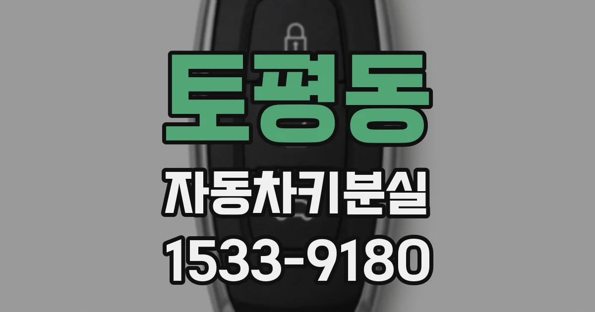 토평동 자동차키분실
