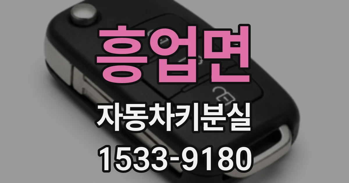 흥업면 자동차키분실
