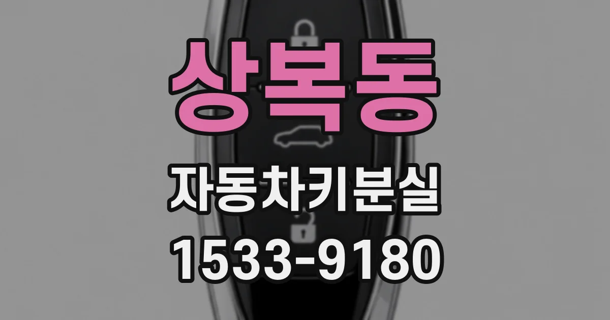 상복동 자동차키분실