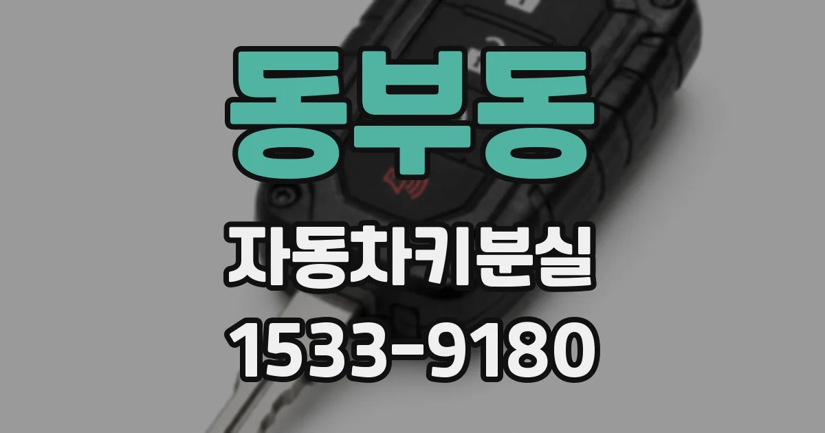 동부동 자동차키분실
