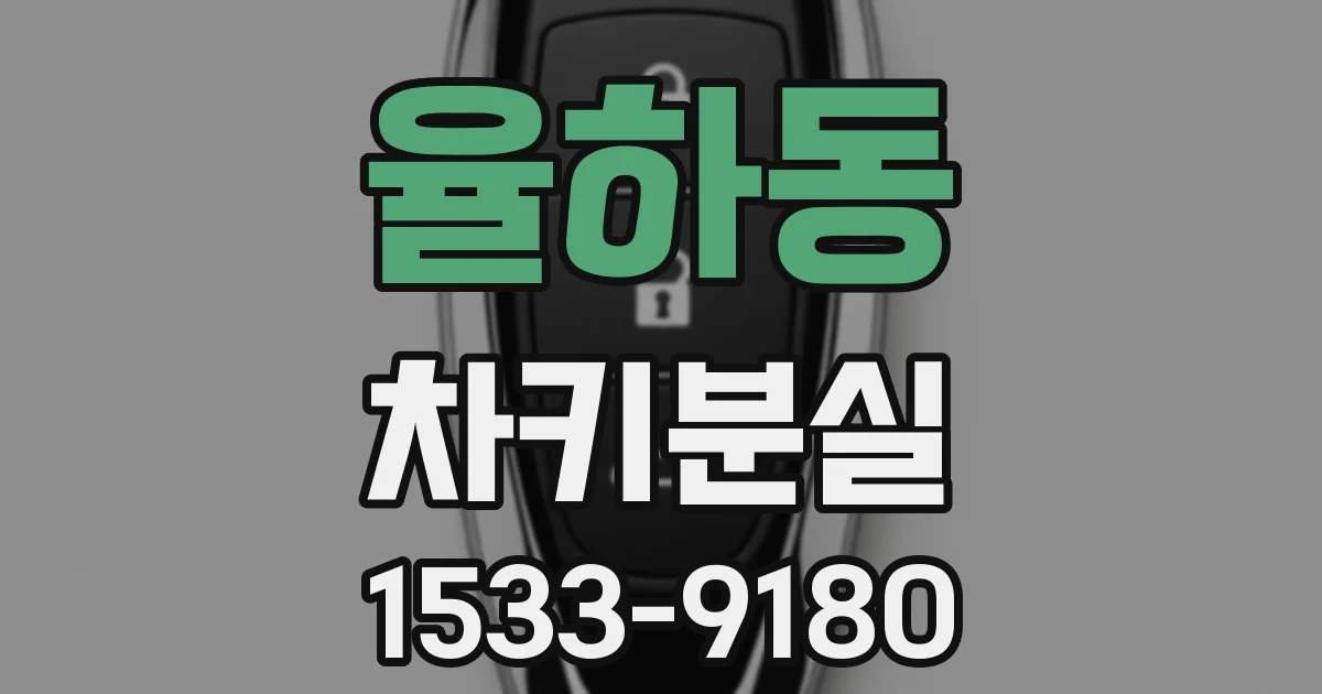 율하동 차키분실