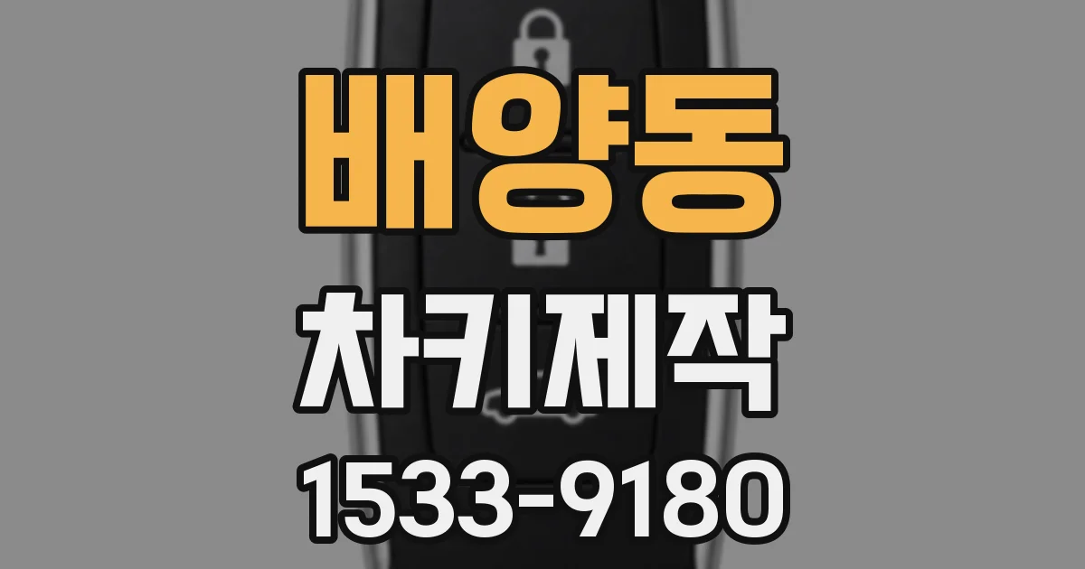 배양동 차키제작