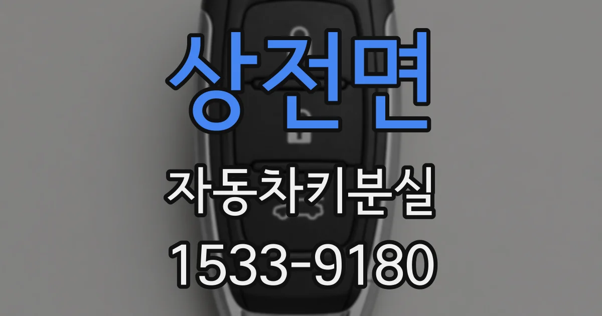 상전면 자동차키분실