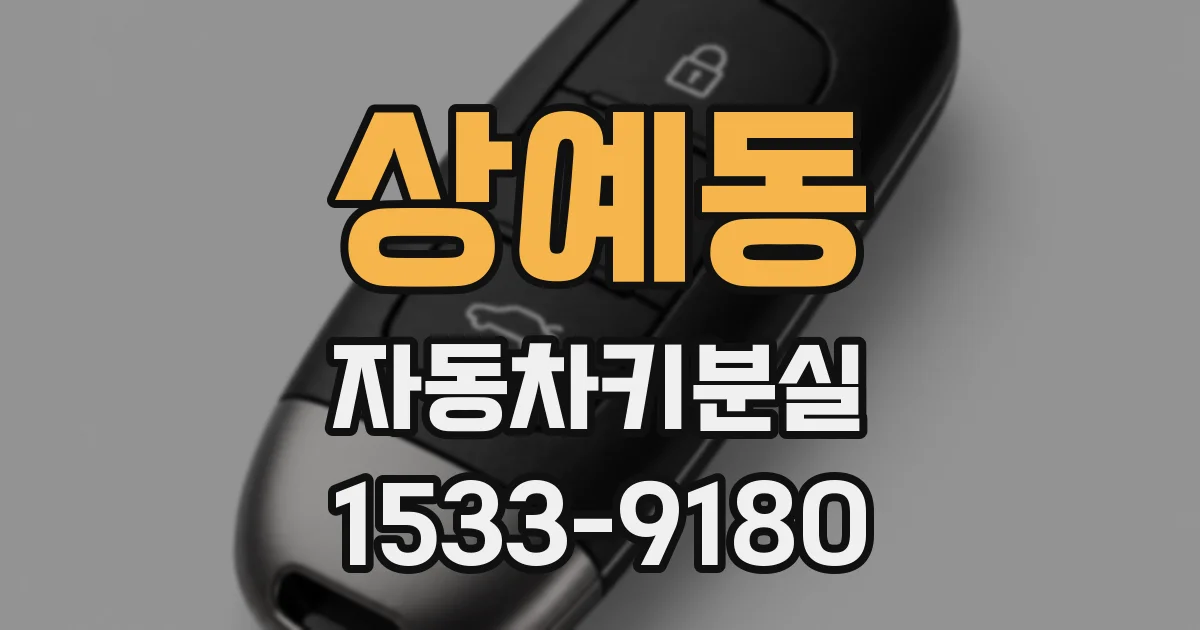 상예동 자동차키분실