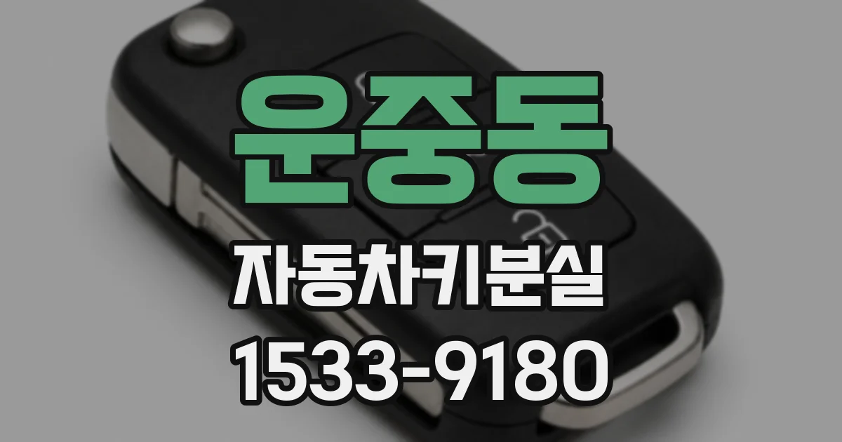 운중동 자동차키분실