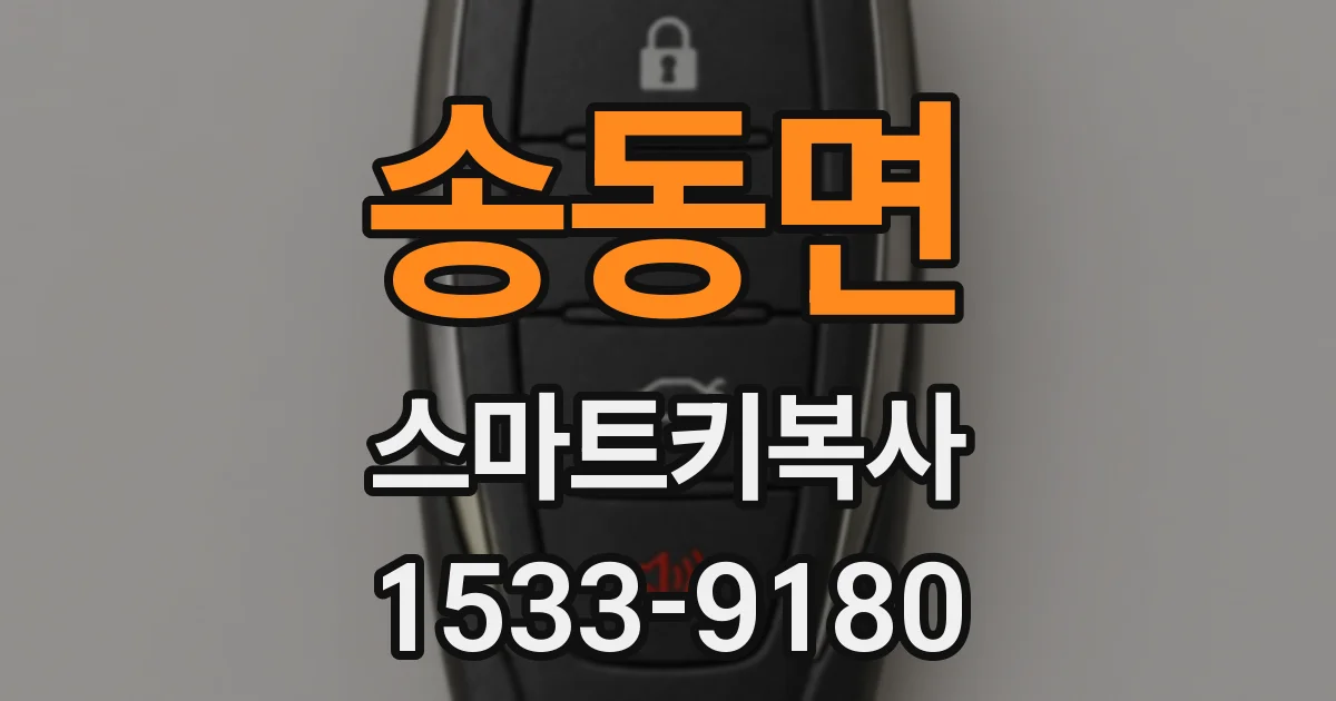 송동면 스마트키복사