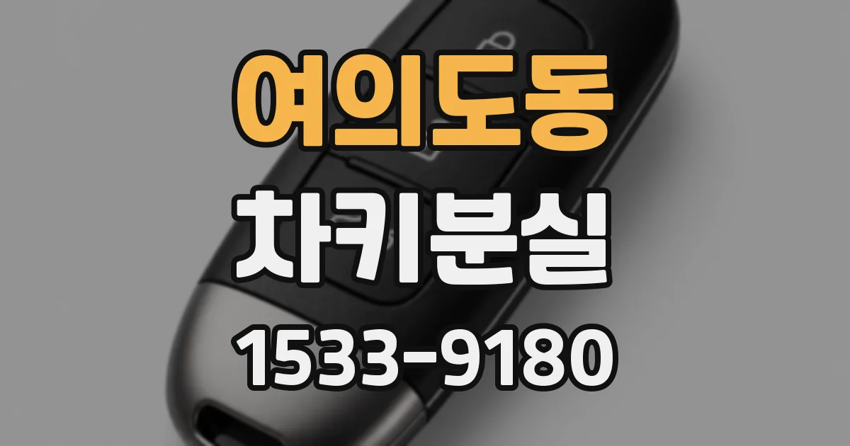 여의도동 차키분실