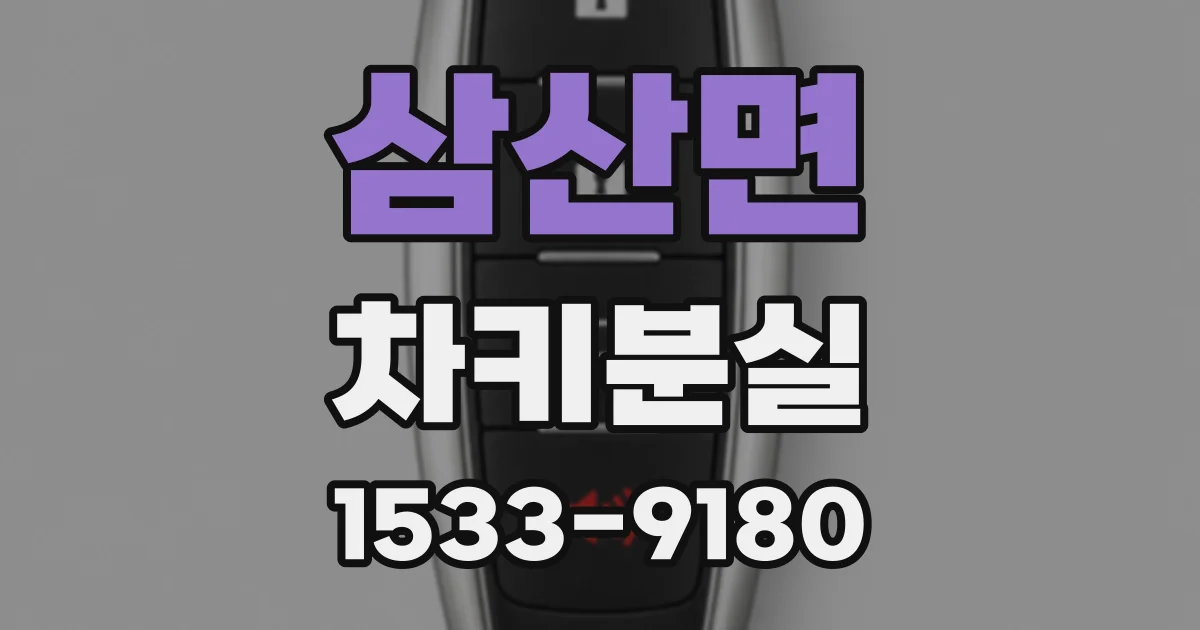 삼산면 차키분실