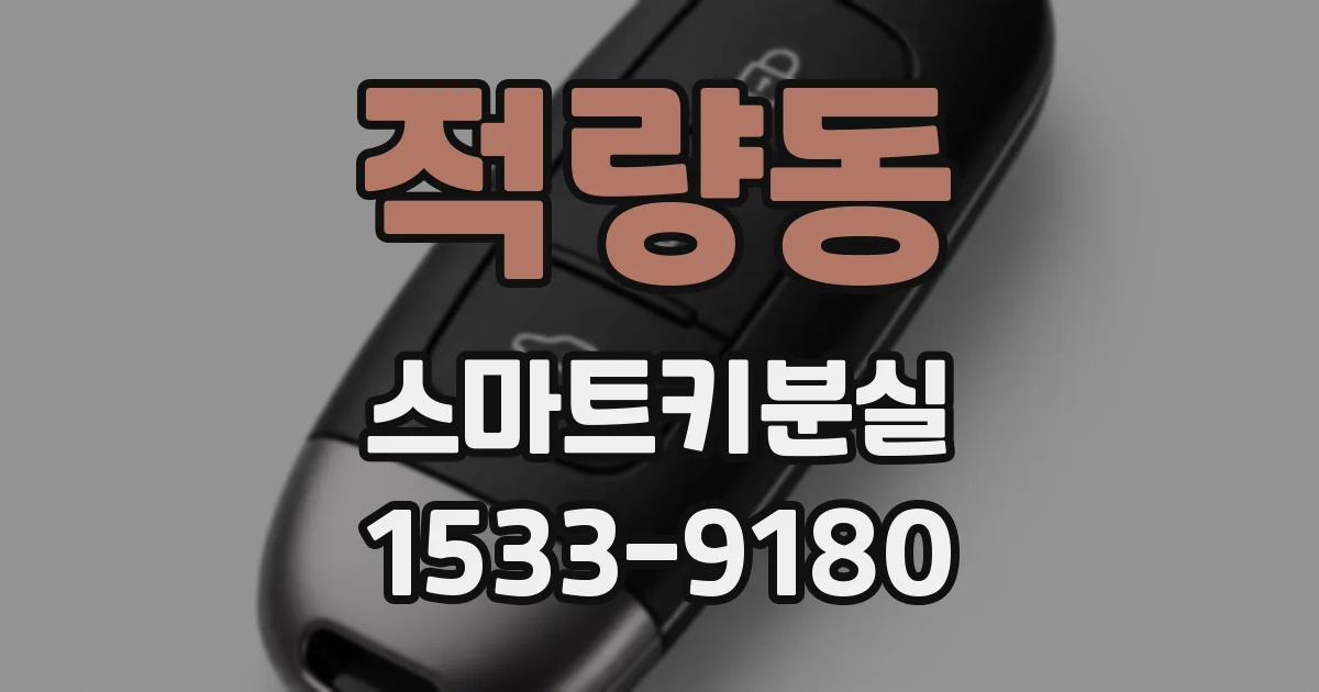 적량동 스마트키분실