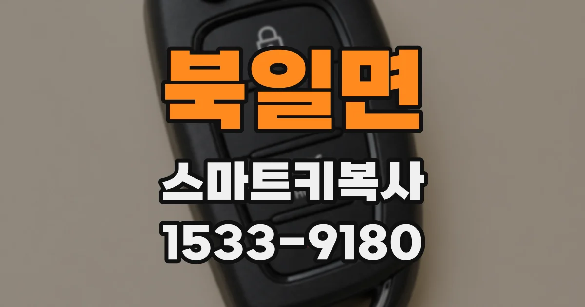 북일면 스마트키복사