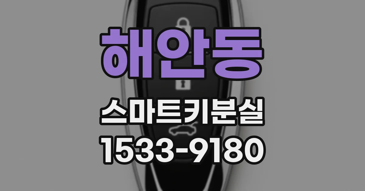 해안동 스마트키분실