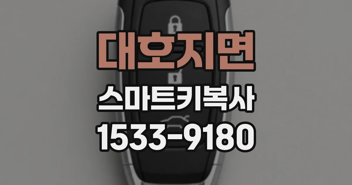 대호지면 스마트키복사