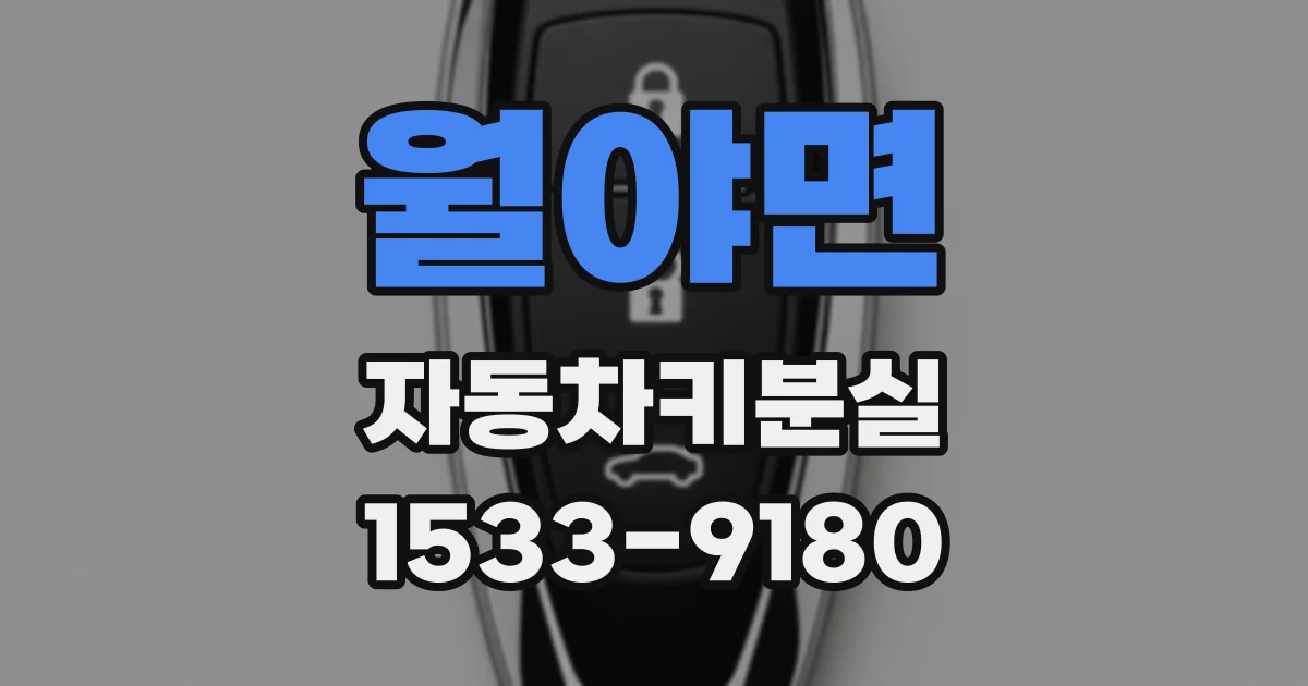 월야면 자동차키분실