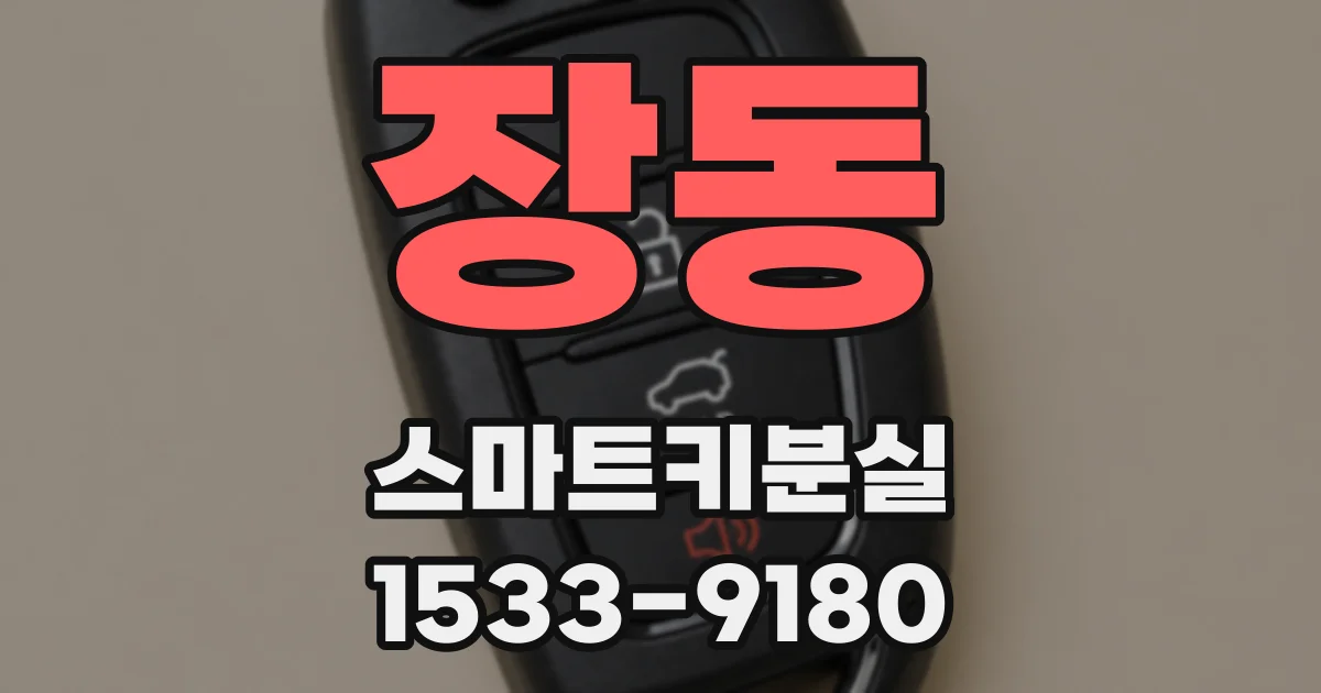 장동 스마트키분실