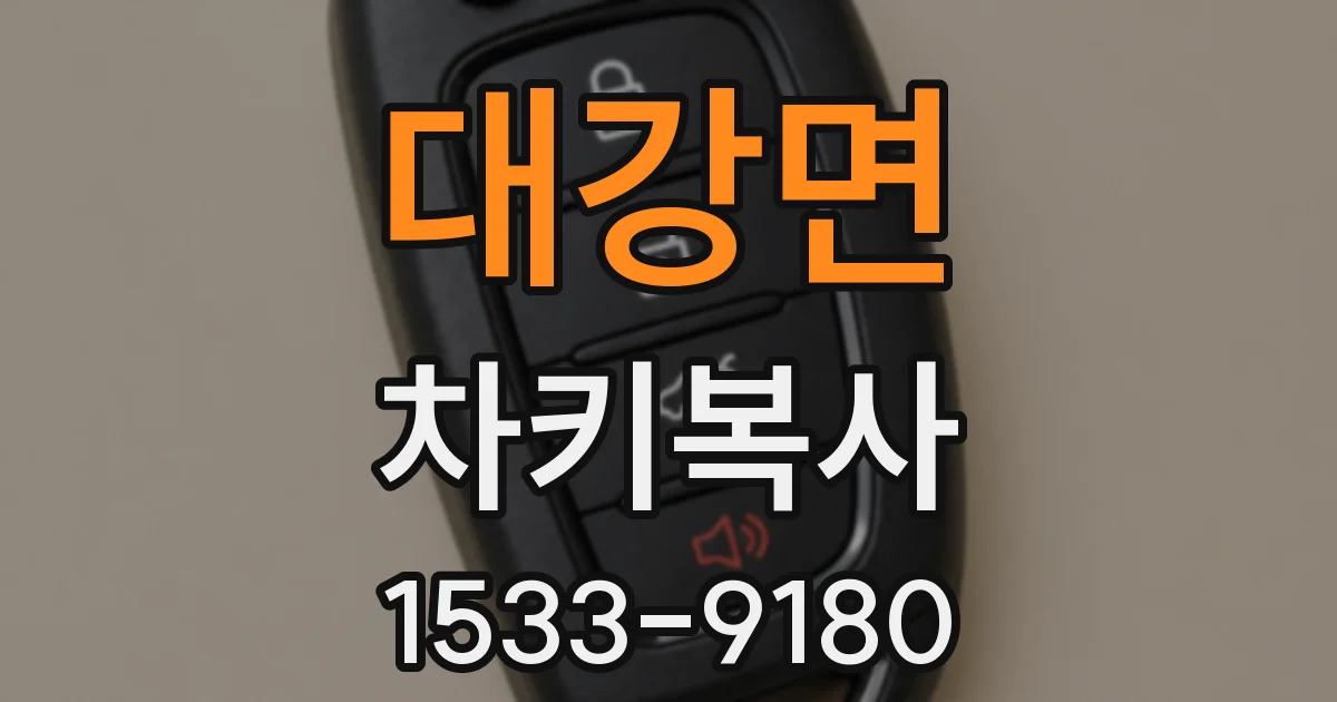 대강면 차키복사