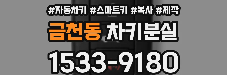 금천동 차키분실