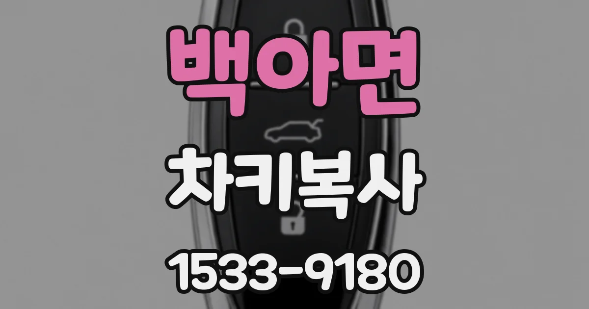 백아면 차키복사