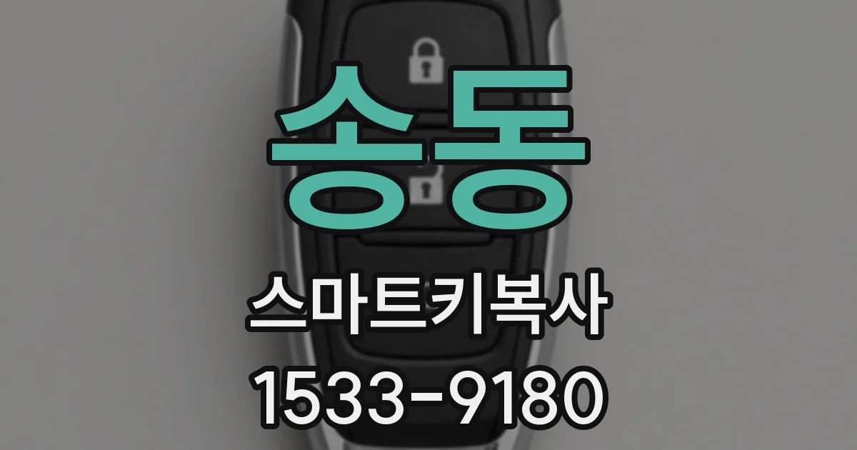 송동 스마트키복사