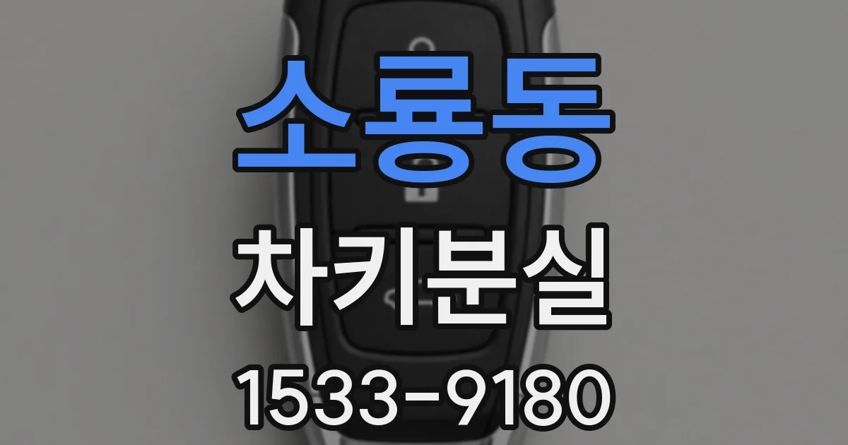 소룡동 차키분실