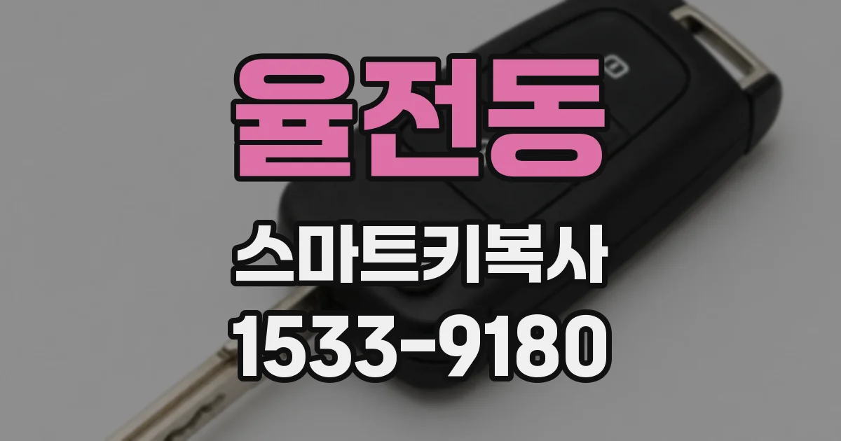 율전동 스마트키복사
