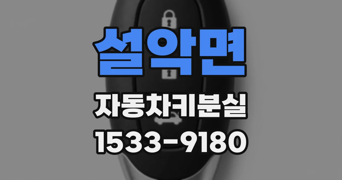 설악면 자동차키분실