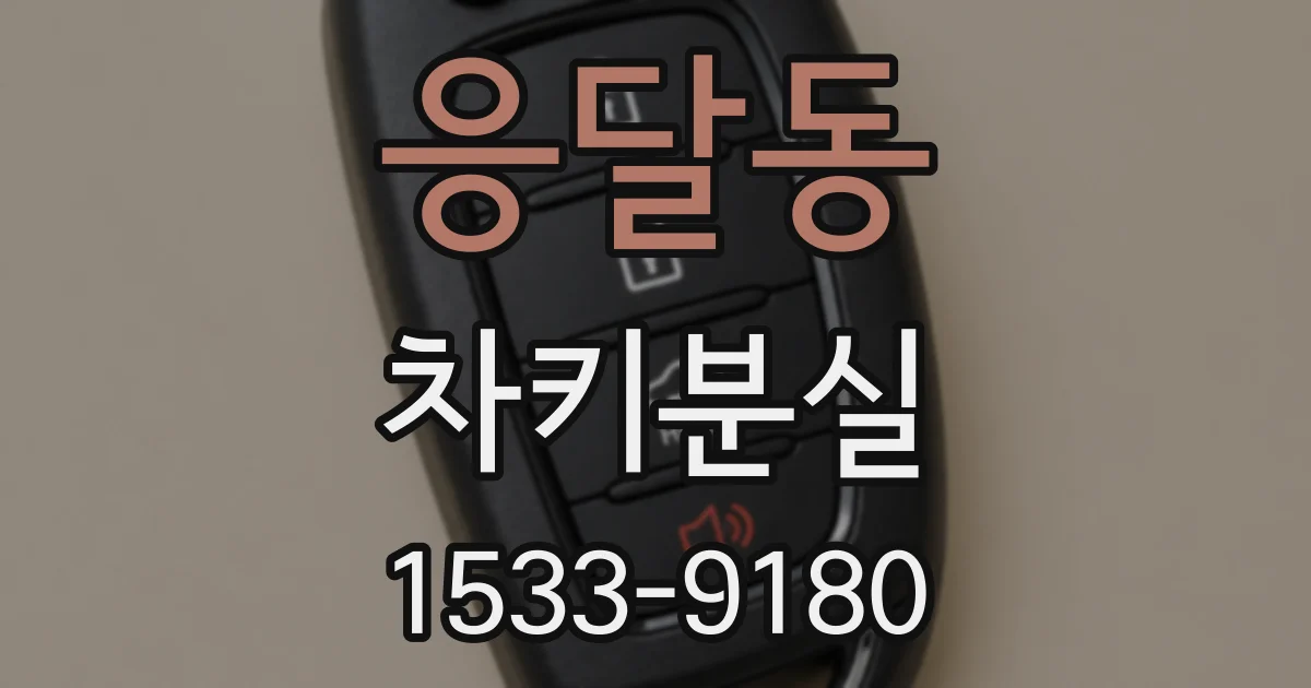 응달동 차키분실