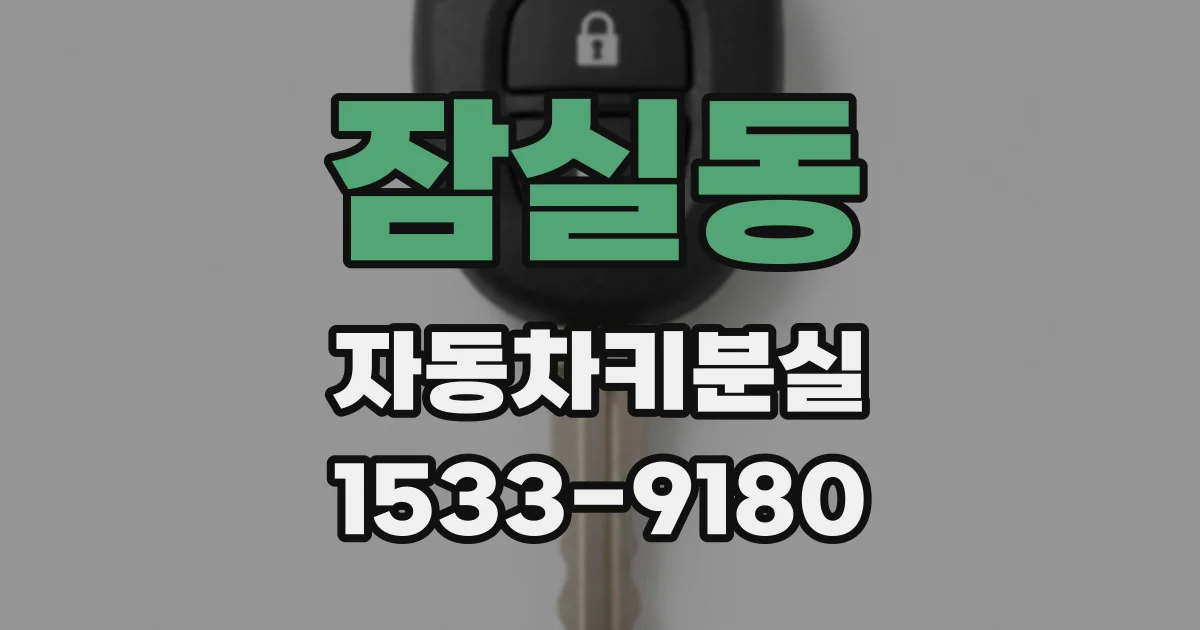 잠실동 자동차키분실