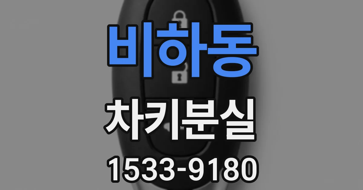 비하동 차키분실
