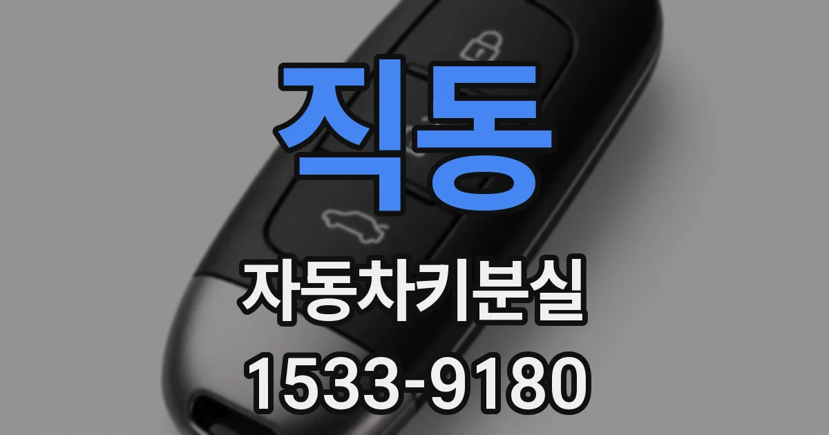 직동 자동차키분실