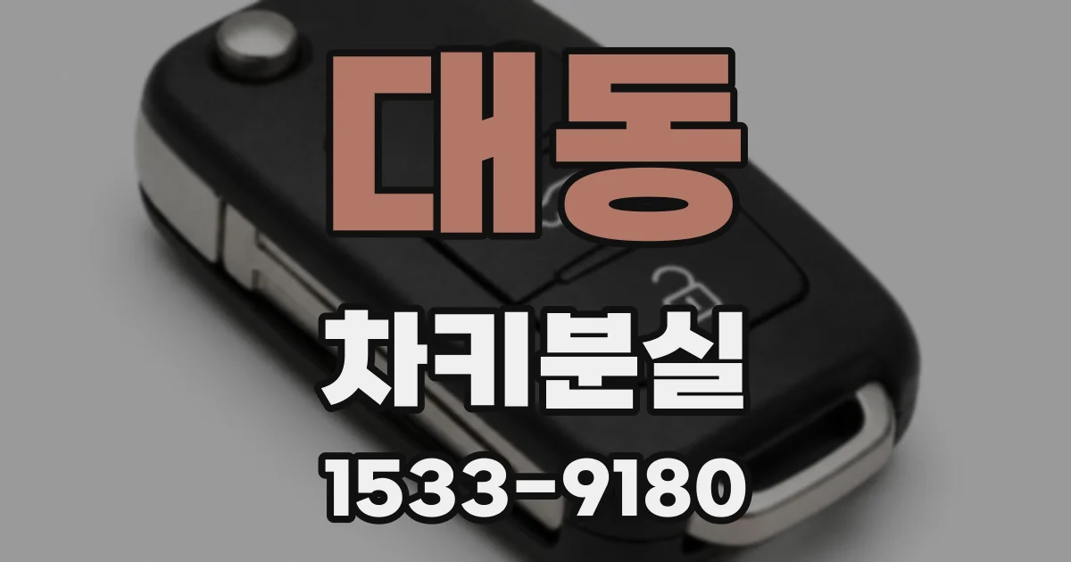 대동 차키분실