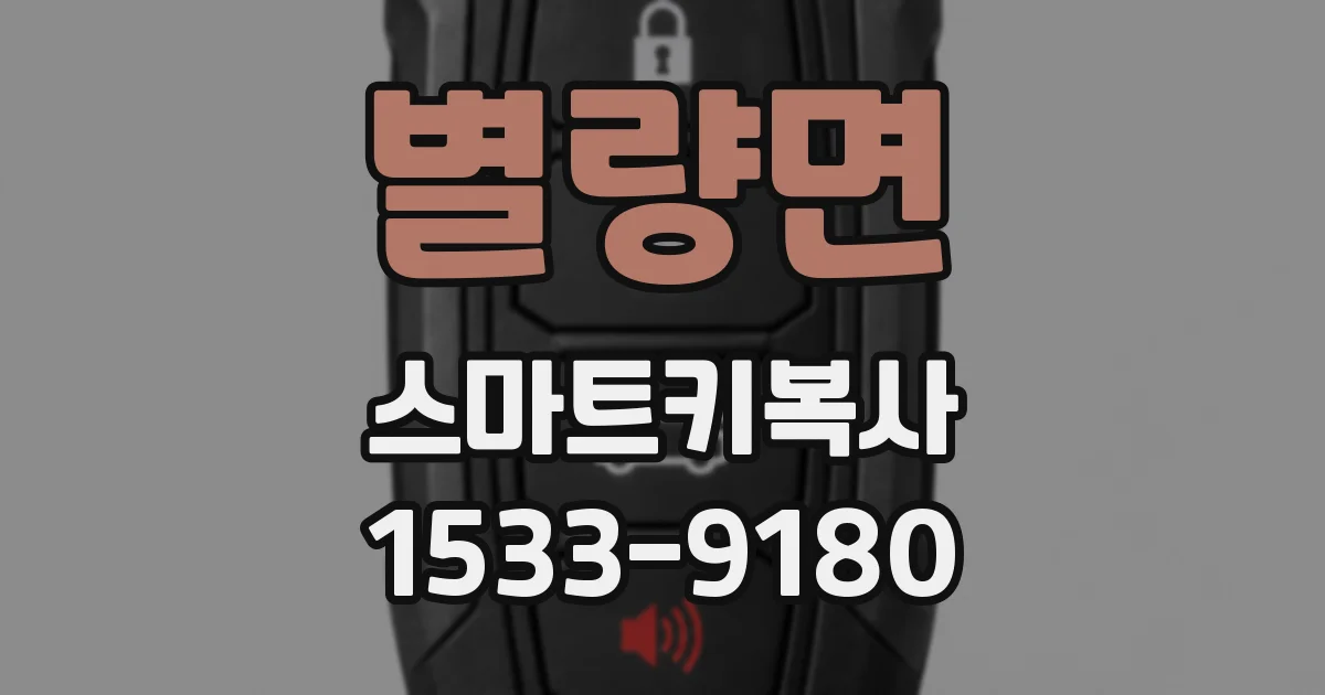 별량면 스마트키복사