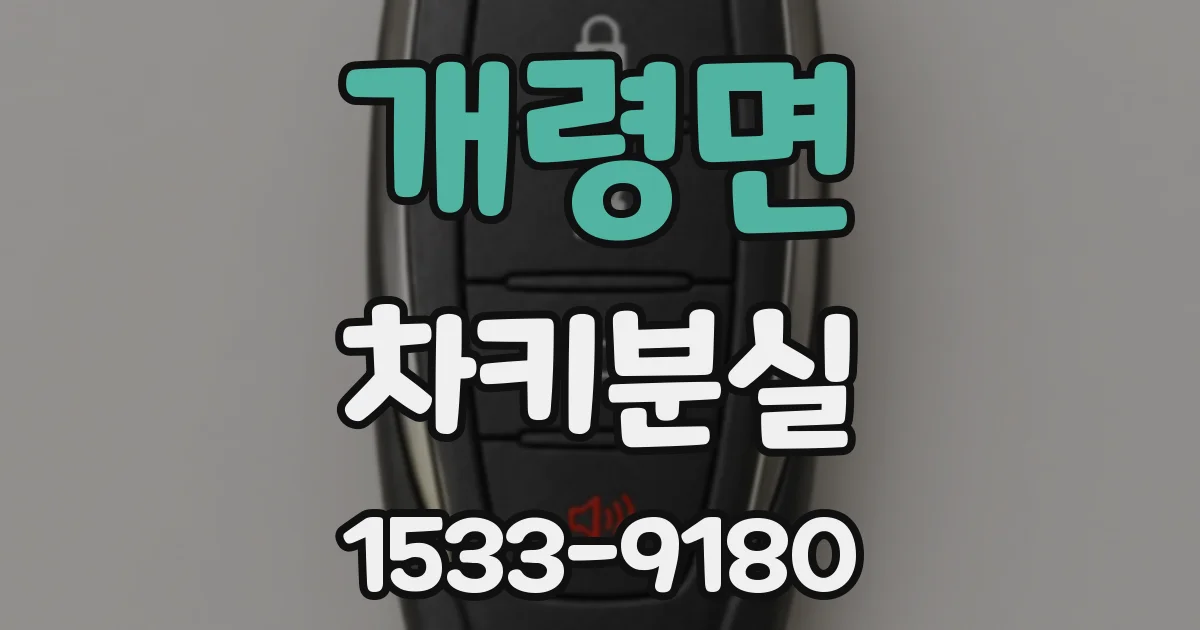 개령면 차키분실