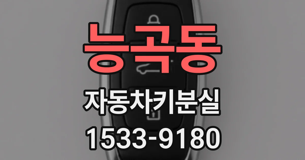 능곡동 자동차키분실