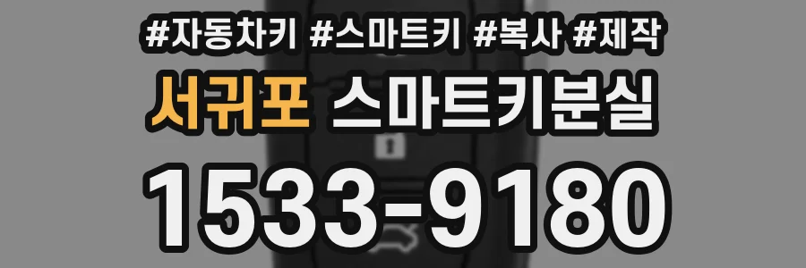 서귀포 스마트키분실