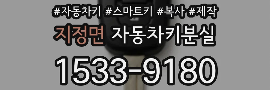 지정면 자동차키분실
