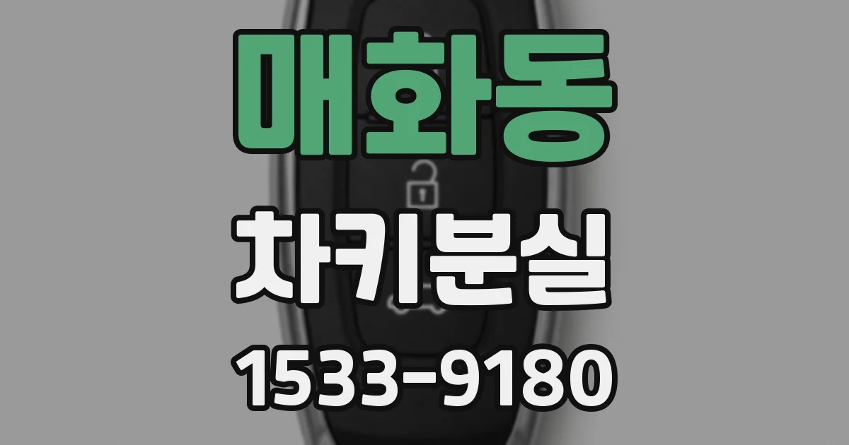매화동 차키분실
