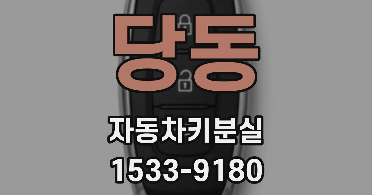 당동 자동차키분실