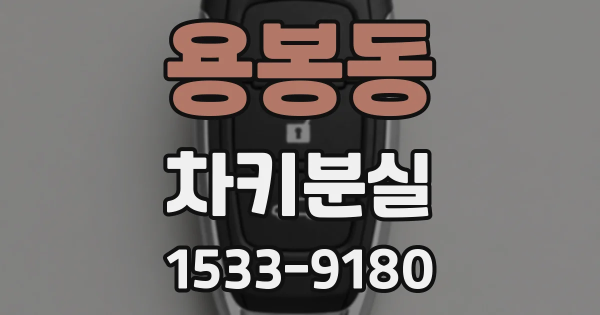 용봉동 차키분실