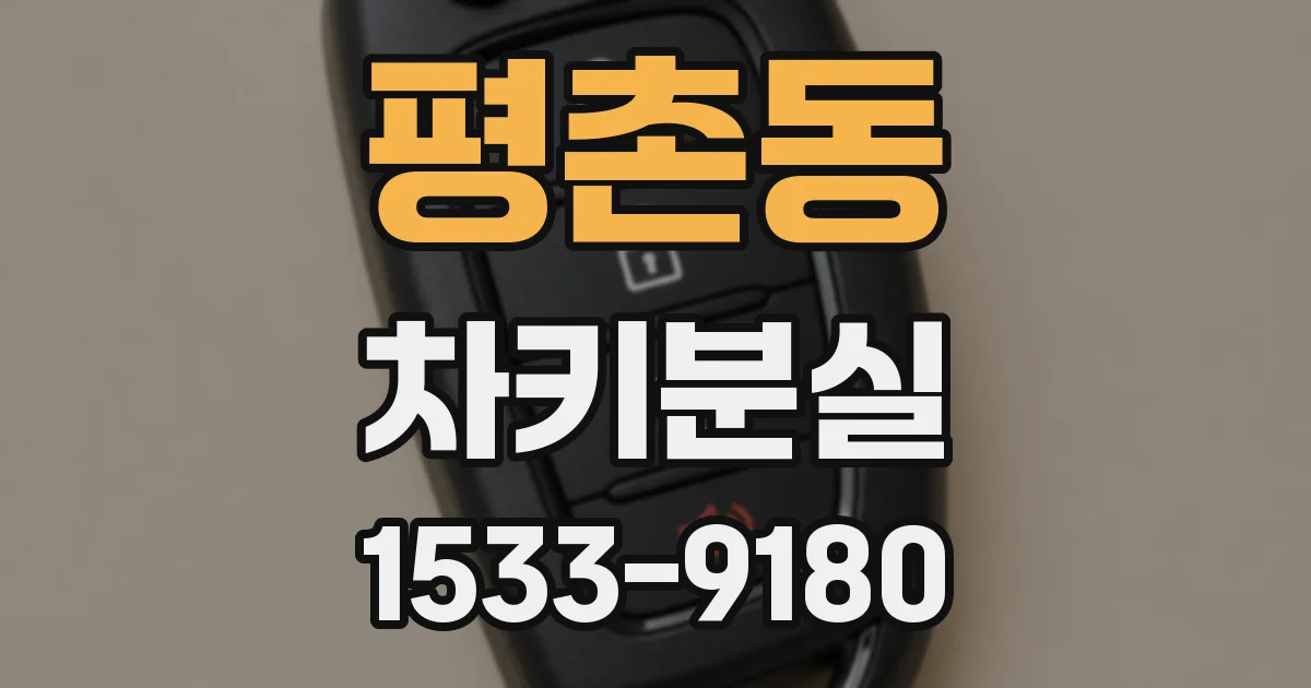 평촌동 차키분실