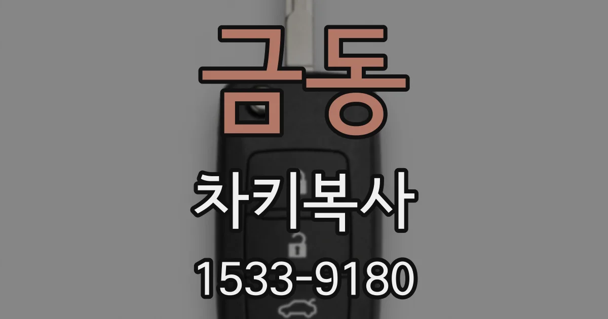 금동 차키복사