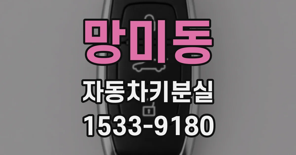 망미동 자동차키분실