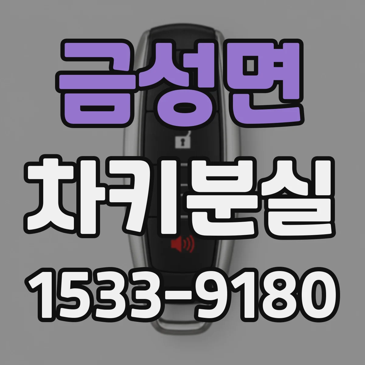 금성면 차키분실