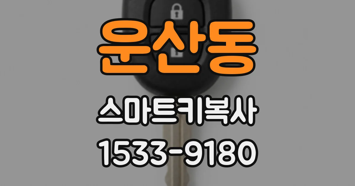 운산동 스마트키복사