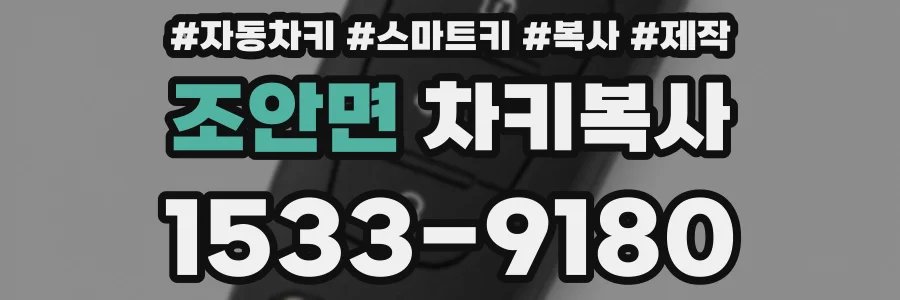 조안면 차키복사