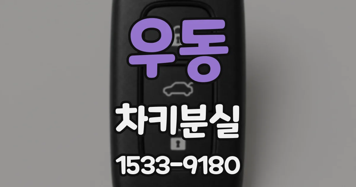 우동 차키분실