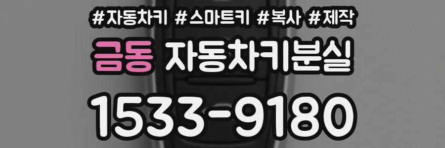 금동 자동차키분실