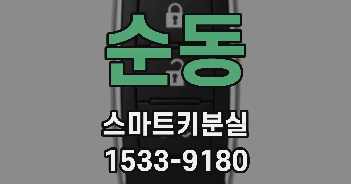 순동 스마트키분실