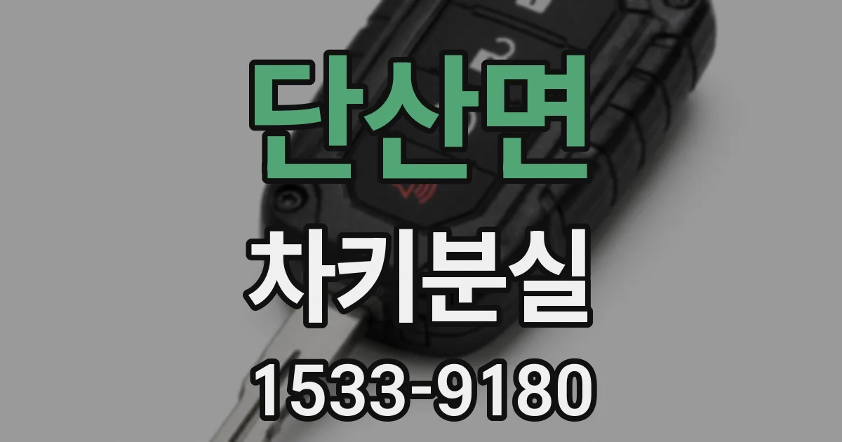 단산면 차키분실