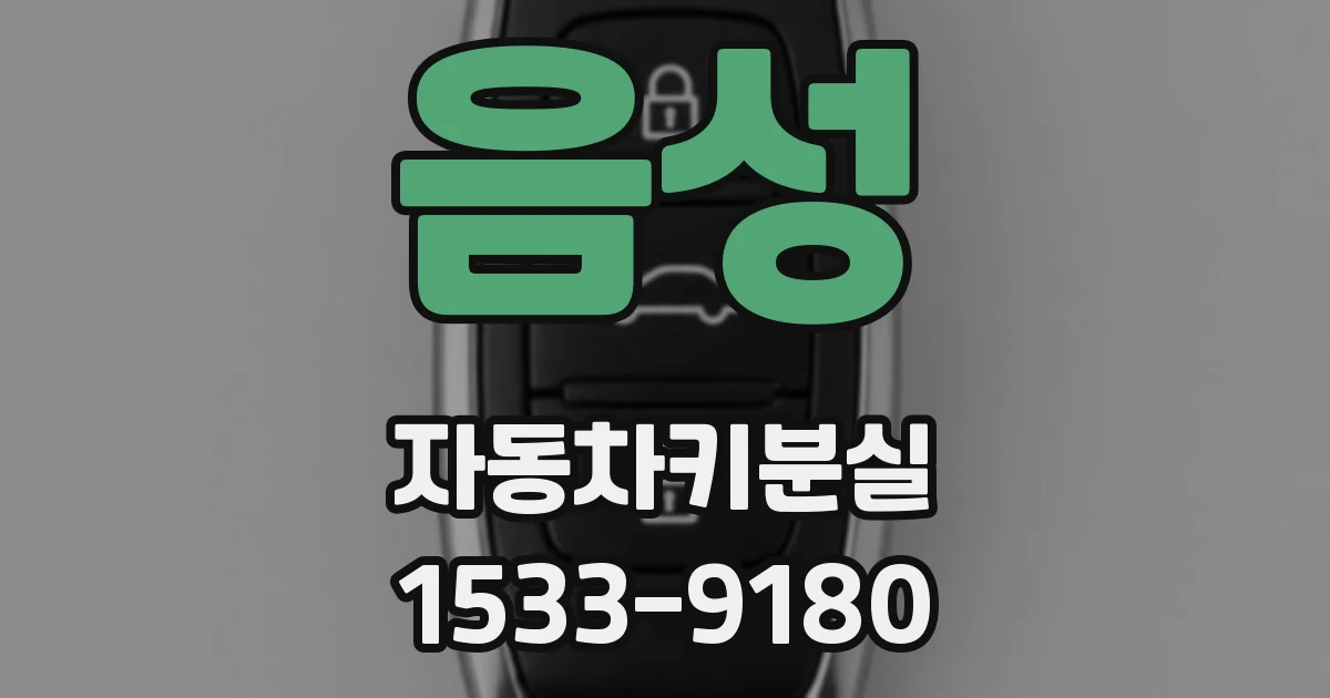 음성 자동차키분실