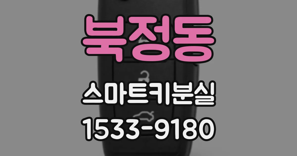 북정동 스마트키분실